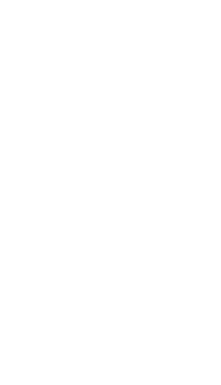 FIZZ CAPITAL